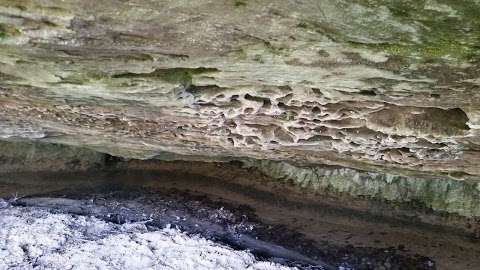 Rock Cave Nature Preserve